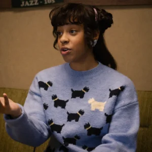 Stranger Things S05 Dog Sweater